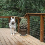 Stainless steel cable deck railing